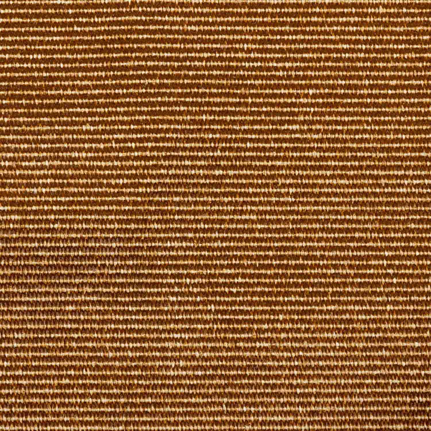 Alternative view of A7259/0669